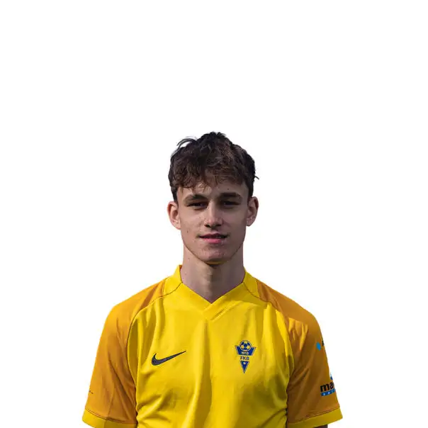 Dominik Svoboda