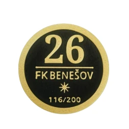 Pamětní mince