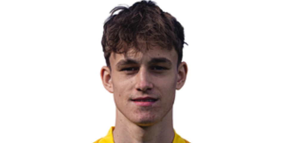 Dominik Svoboda